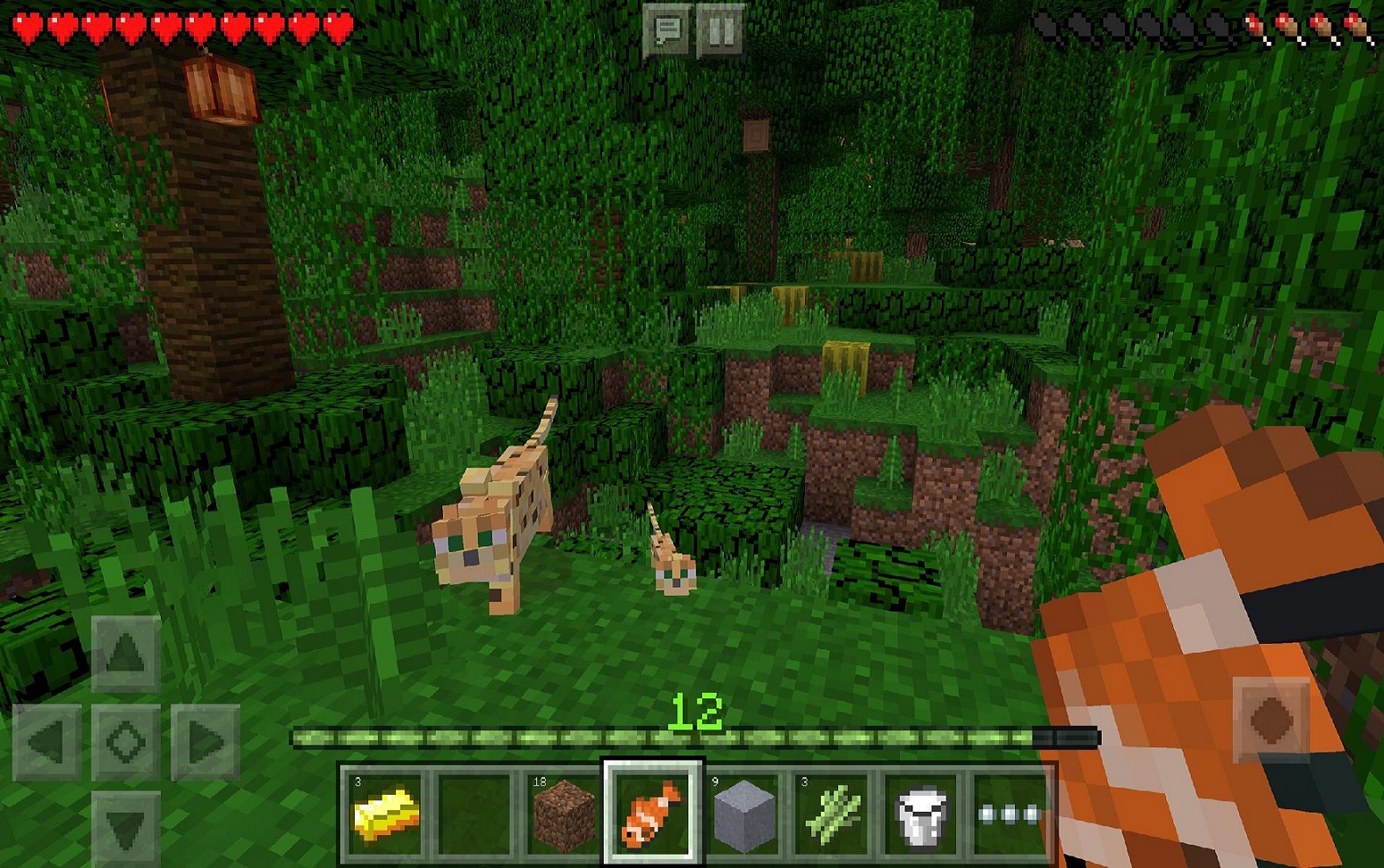Minecraft Pocket Edition Download Full Game