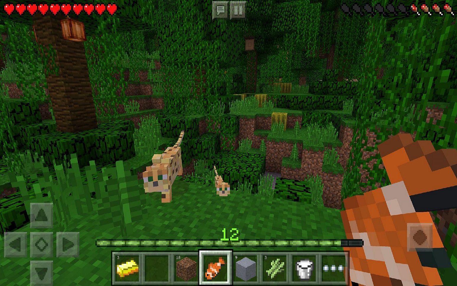 Download Minecraft: Pocket Edition - Full Version Mod Apk